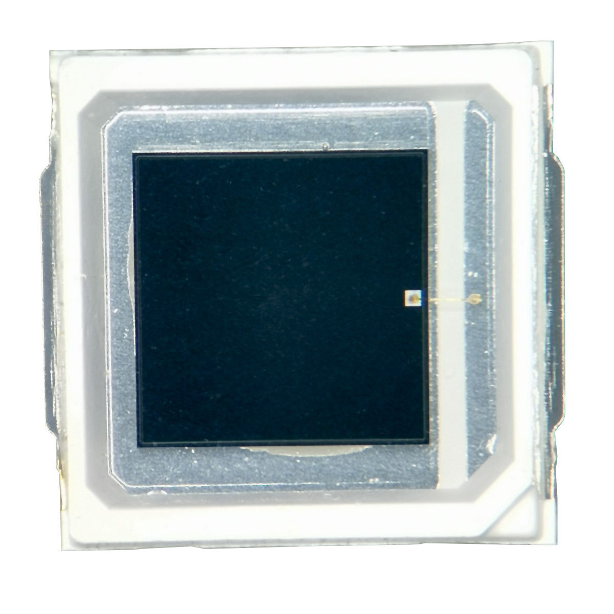Photodiode PD6030C